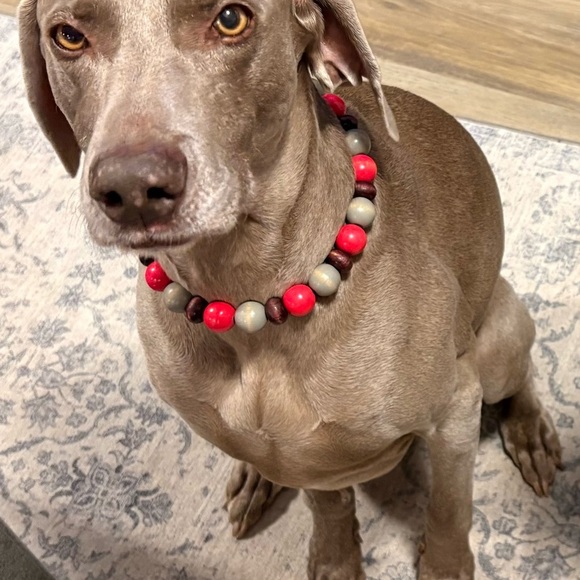 Colorful Beaded Large Dog collar - Picture 4 of 4